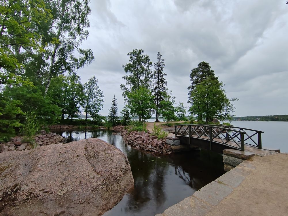 Rock Garden