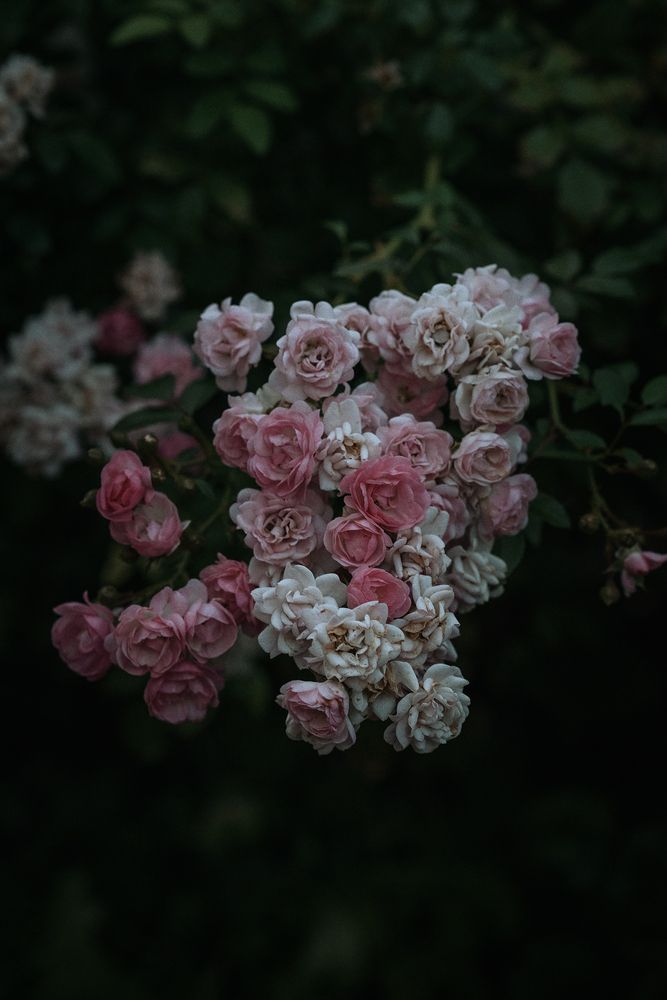 Photograph by Калюжина Татьяна