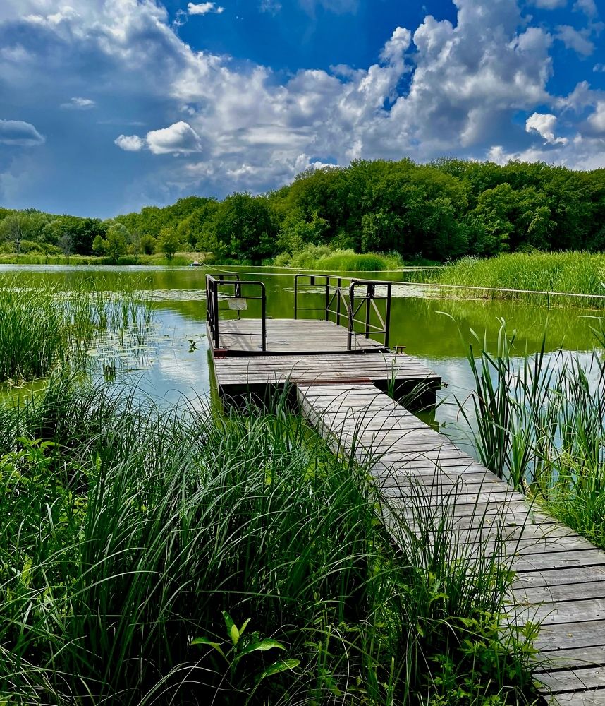 Фотография автора Елена Чиликина