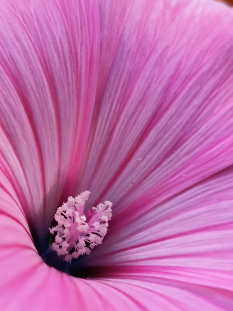 Photograph by Галина Смирнова