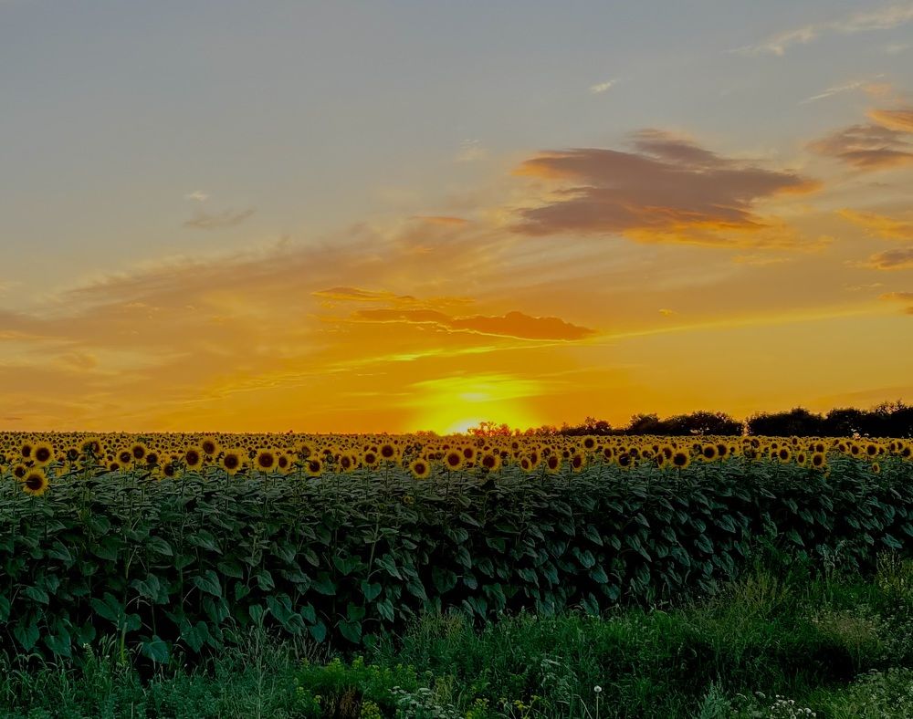 Фотография автора Елена Чиликина