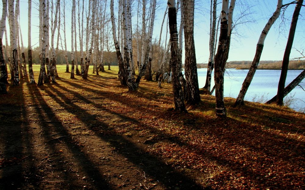 Фотография автора Nelya  Lysenko