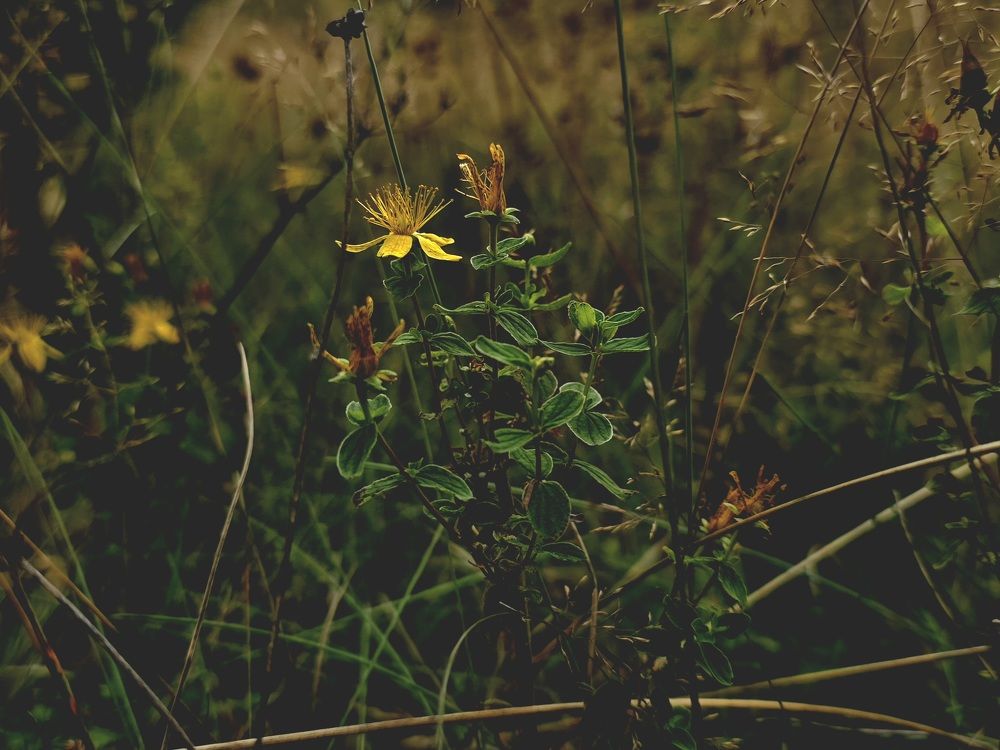 Photograph by Анна Семенова