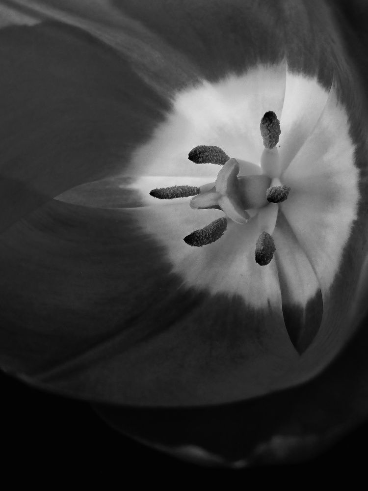 Photograph by Anastasiya Danilova