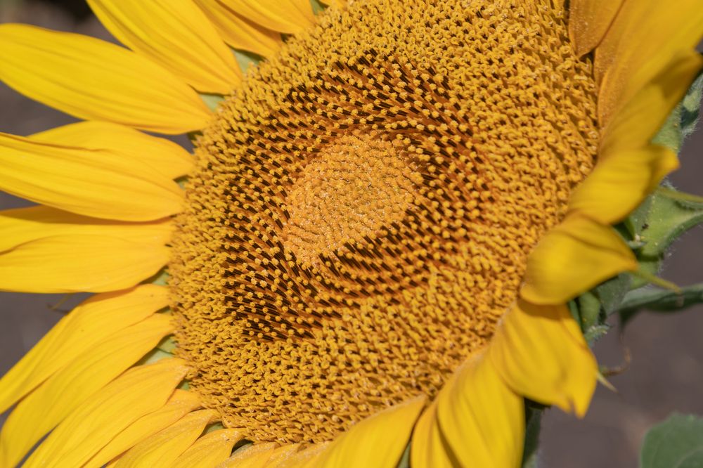 Photograph by Павел Герасимов