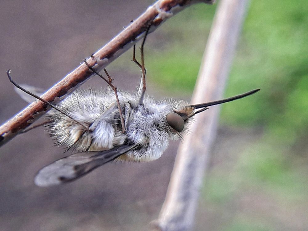 Photograph by Марина Мальцева