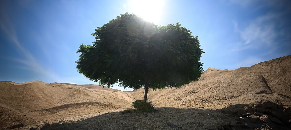 Фотография автора Ляшеев Дмитрий