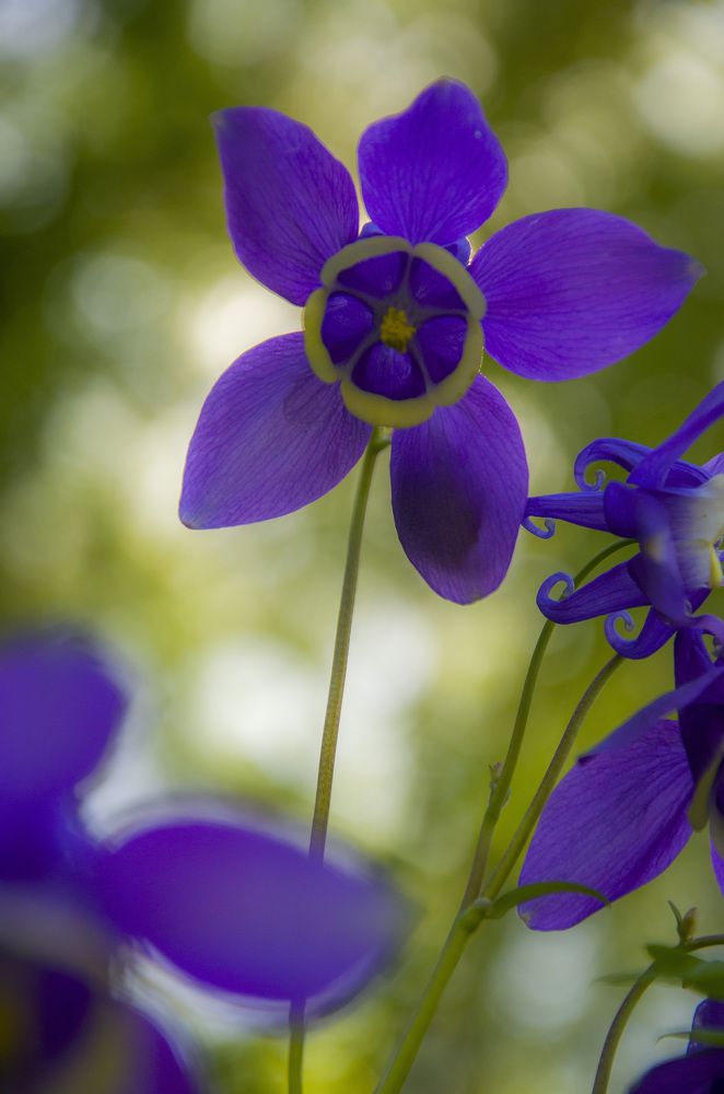 Photograph by Татьяна Титова