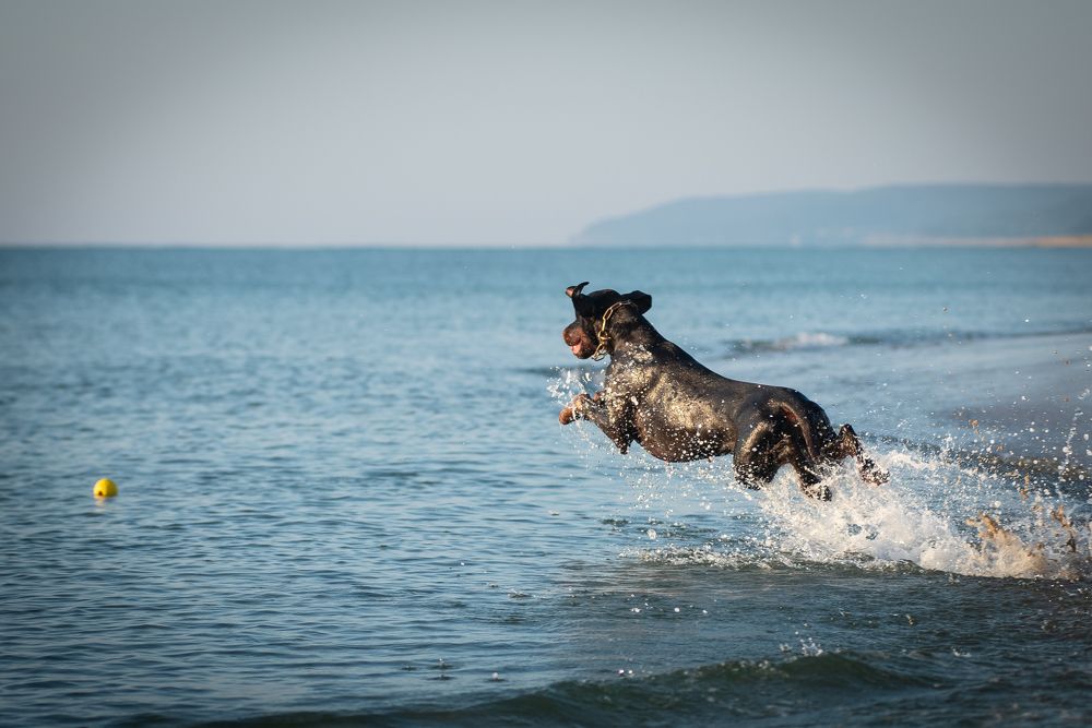 Photograph by Наталья Романова