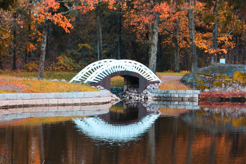 Photograph by Сергей Кутьин