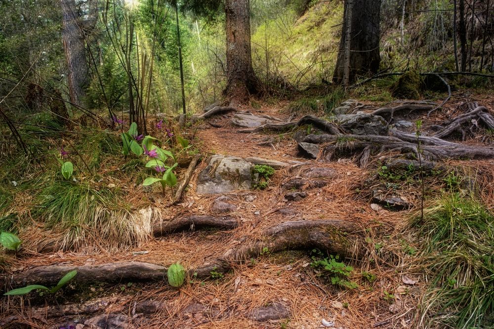 Photograph by Вадим Владимирович