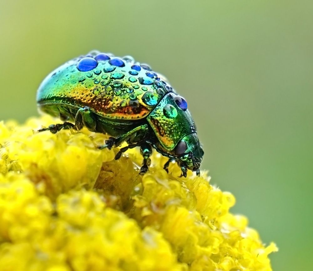 Photograph by Наталья Соколова