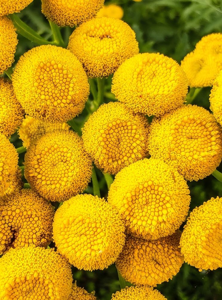 Photograph by Ольга Лукахина