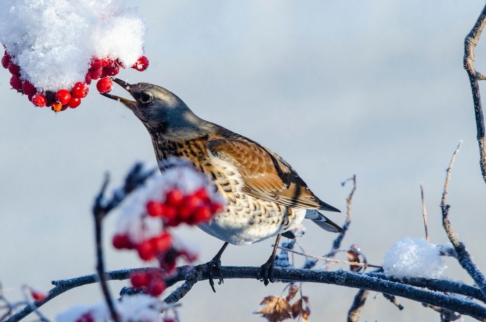 Photograph by Ольга Лукахина