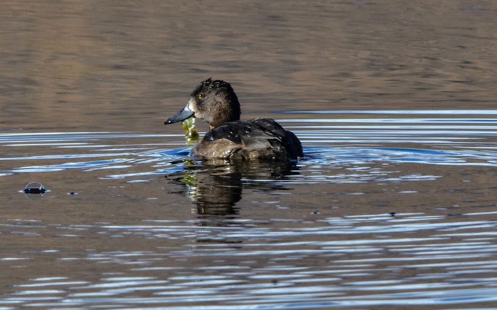 Photograph by Ольга Лукахина