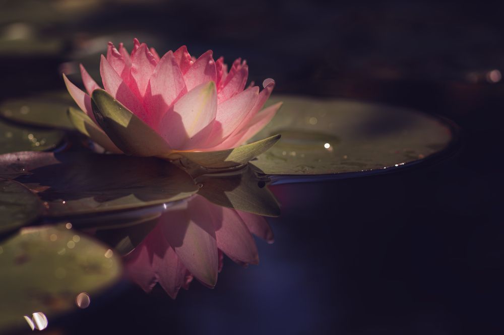 Photograph by Светлана Андреева