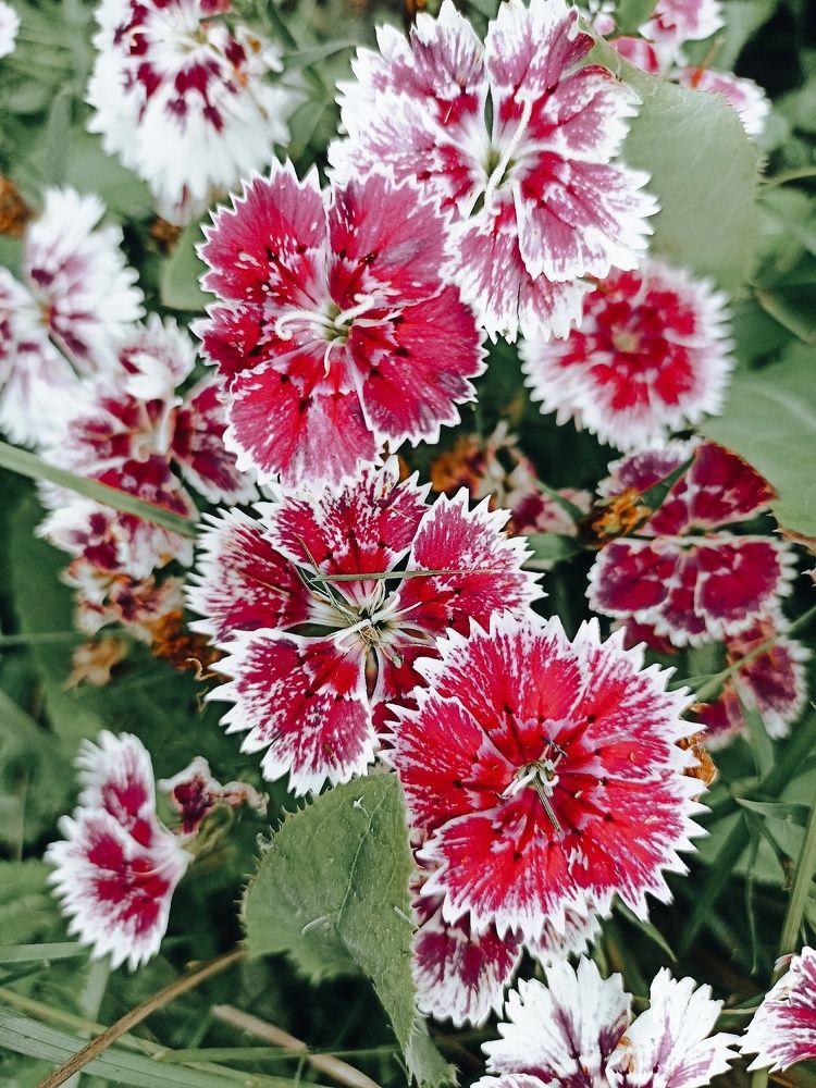 Photograph by Надежда Тарасенко