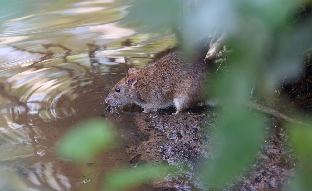 Photograph by Станислав Вершинин
