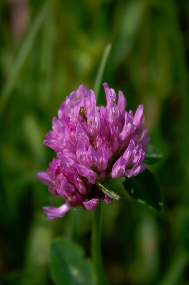 Photograph by Кристина Полякова