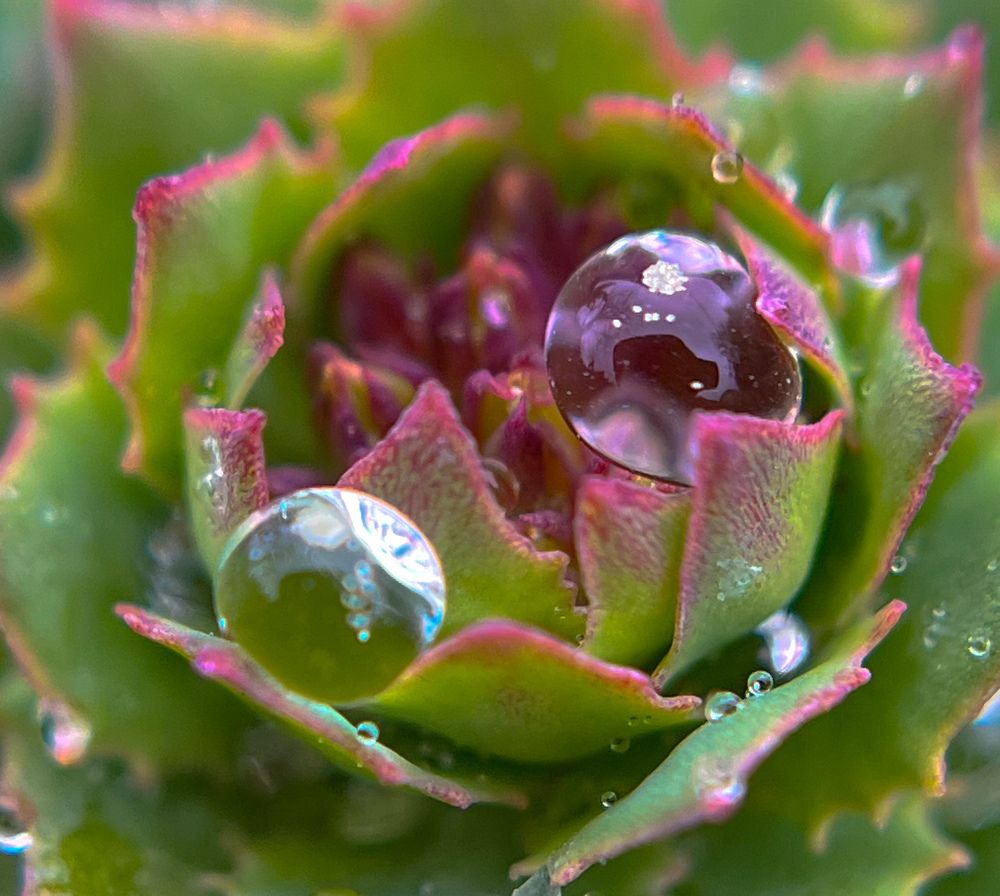 Photograph by Татьяна Михайловна