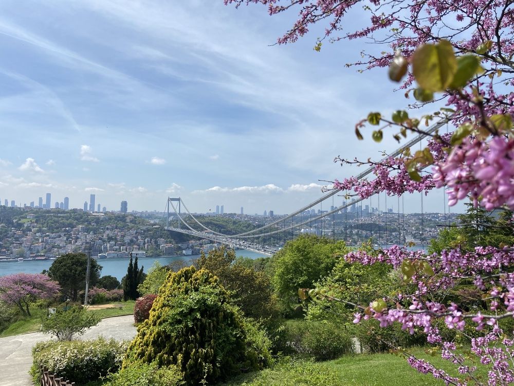 Photograph by Ольга Панова