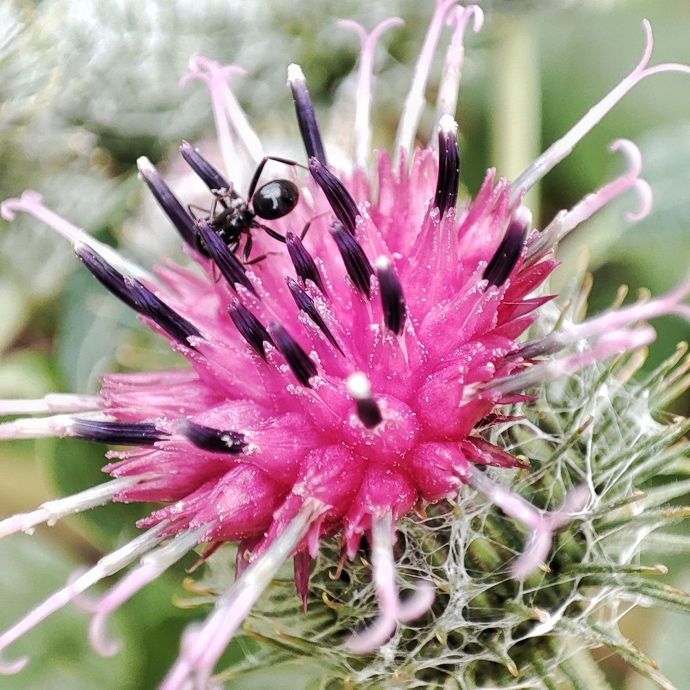 Photograph by Дина Желанова