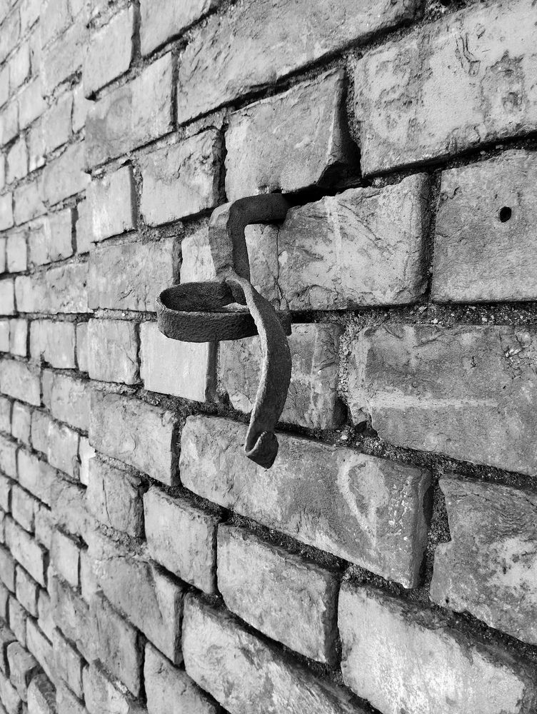 Фотография автора Александр Собокарь