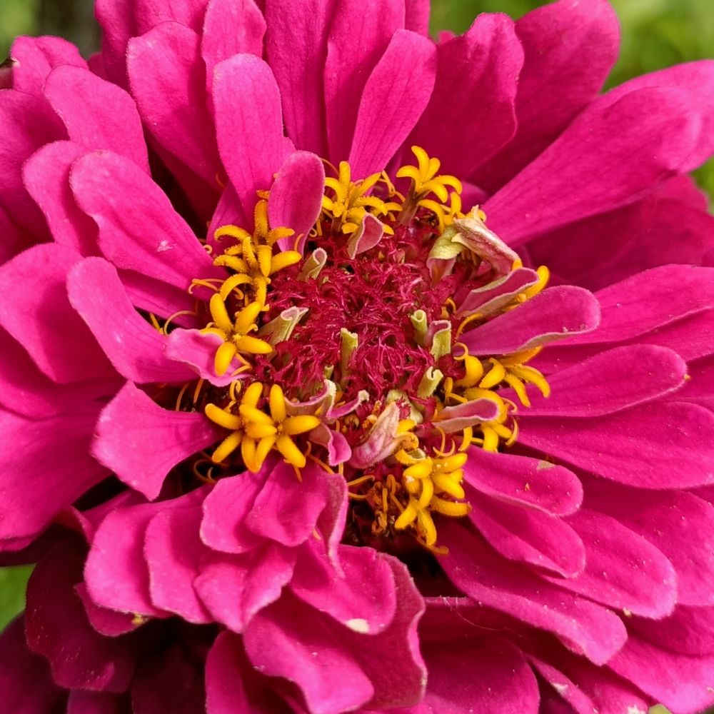 Фотография автора Татьяна Лука