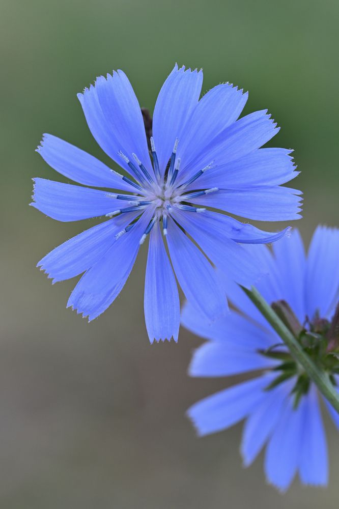 Фотография автора Дмитрий Referee