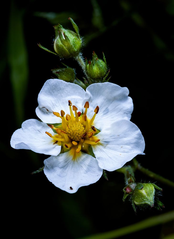 Photograph by Batjargal Lkhagvasuren