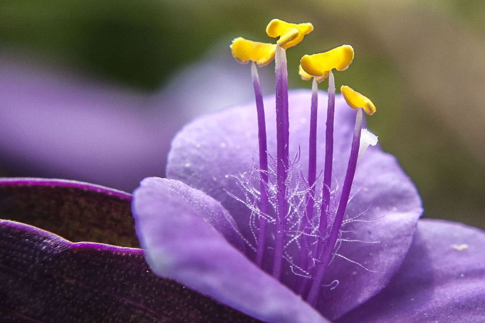 Photograph by Debasish Mallik