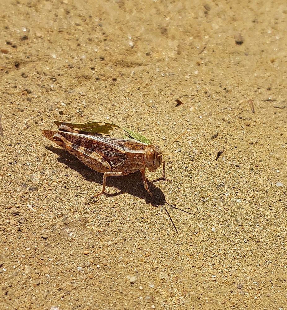 Photograph by Юлия Коробкова