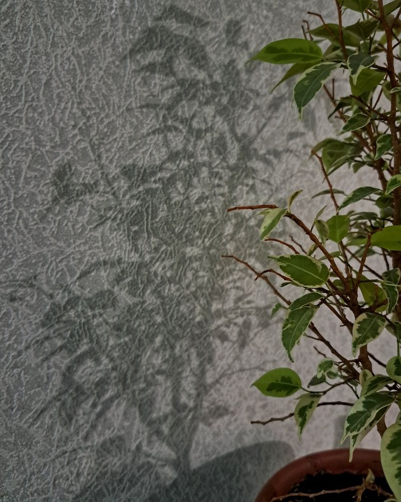 Photograph by Оксана Юдина