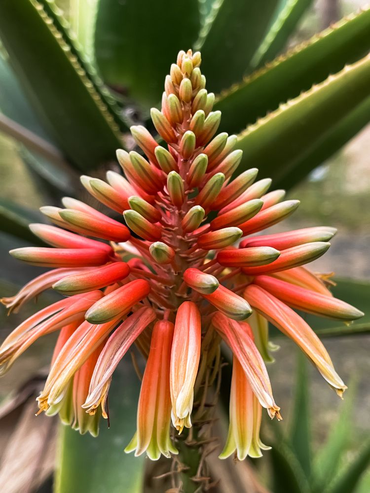 Photograph by Svetlana Garifullina