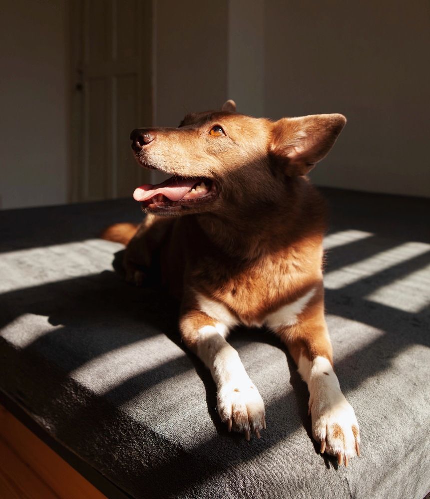 Фотография автора Galina Sa