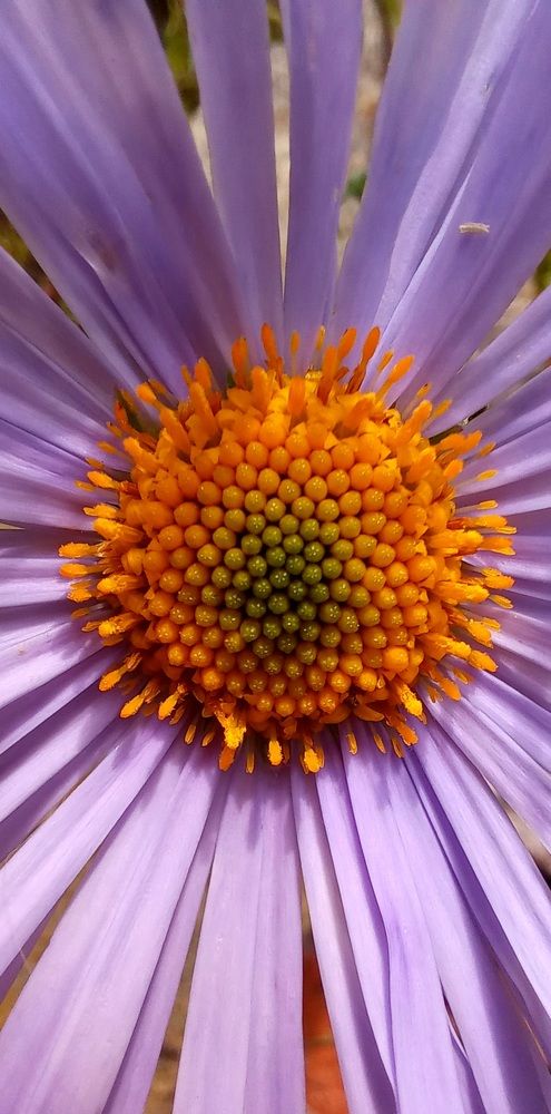 Фотография автора Марина Новикова