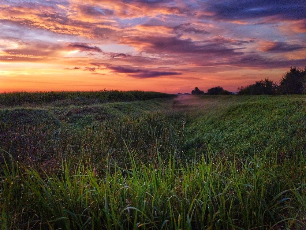 Photograph by Змитрович Татьяна