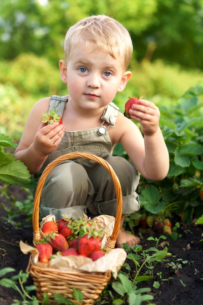 Photograph by Мария Каськова