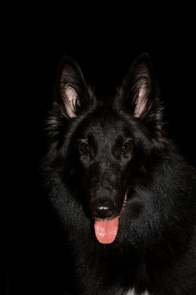 Магия черного