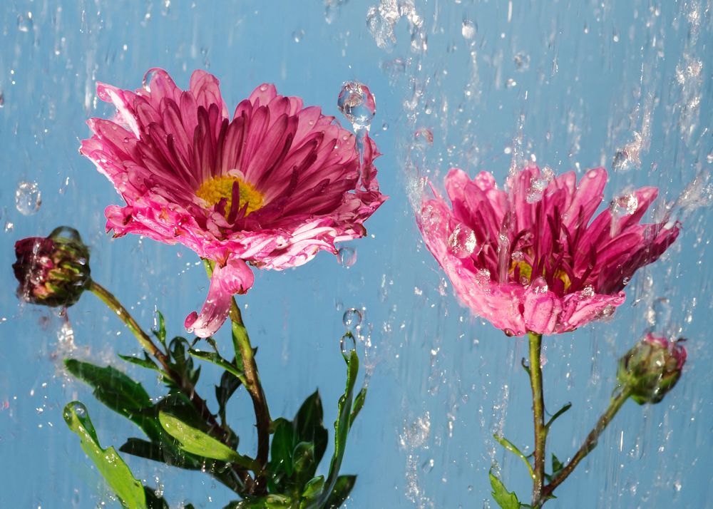 Photograph by Ангела Честнова