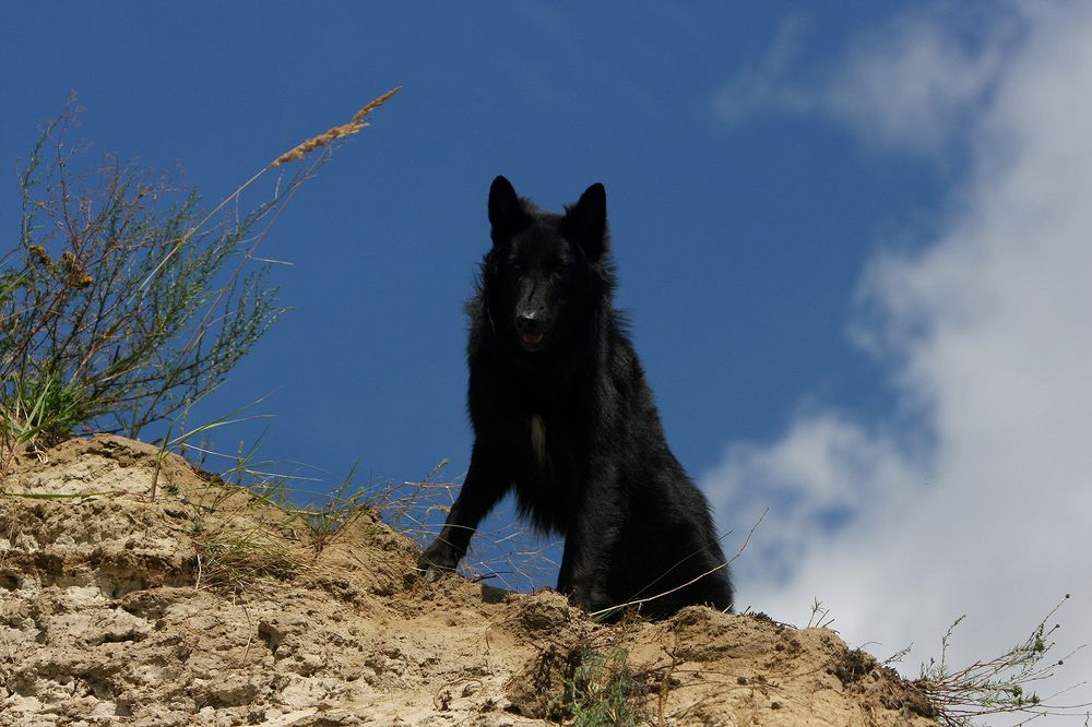 Фотография автора Надежда Лисицына