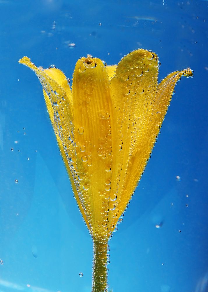 Photograph by Ангела Честнова