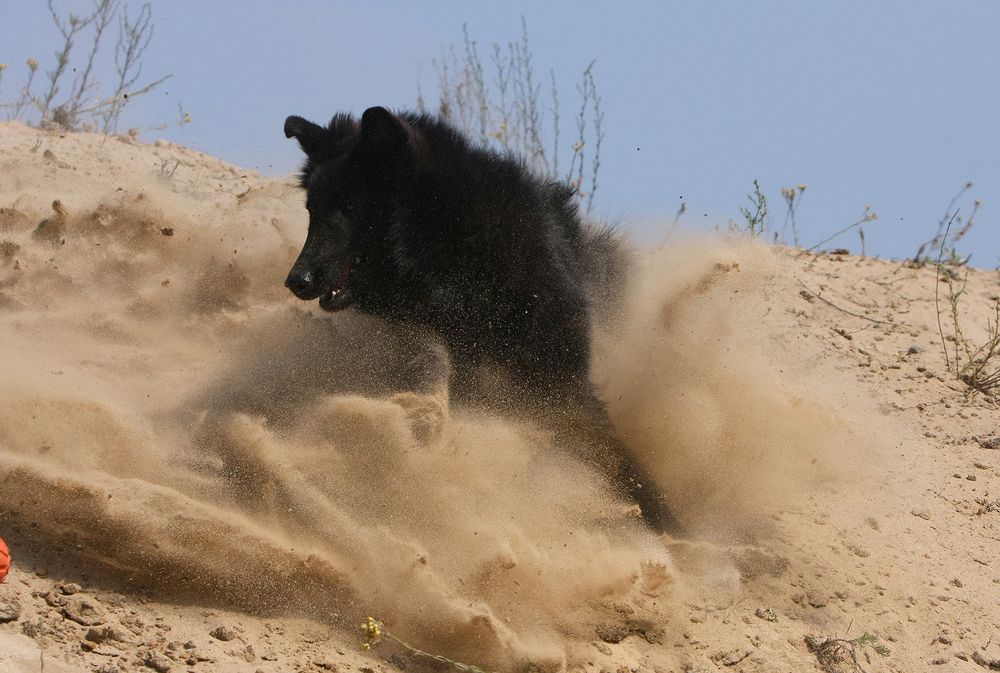 Фотография автора Надежда Лисицына