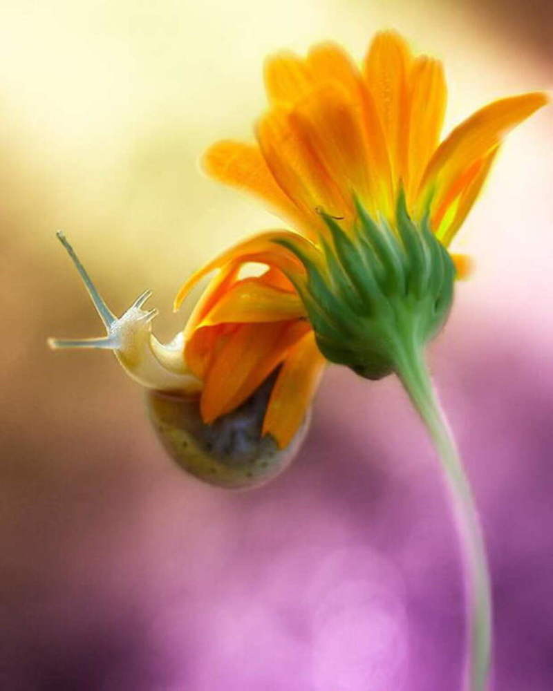 Photograph by Аркадий Горбунов