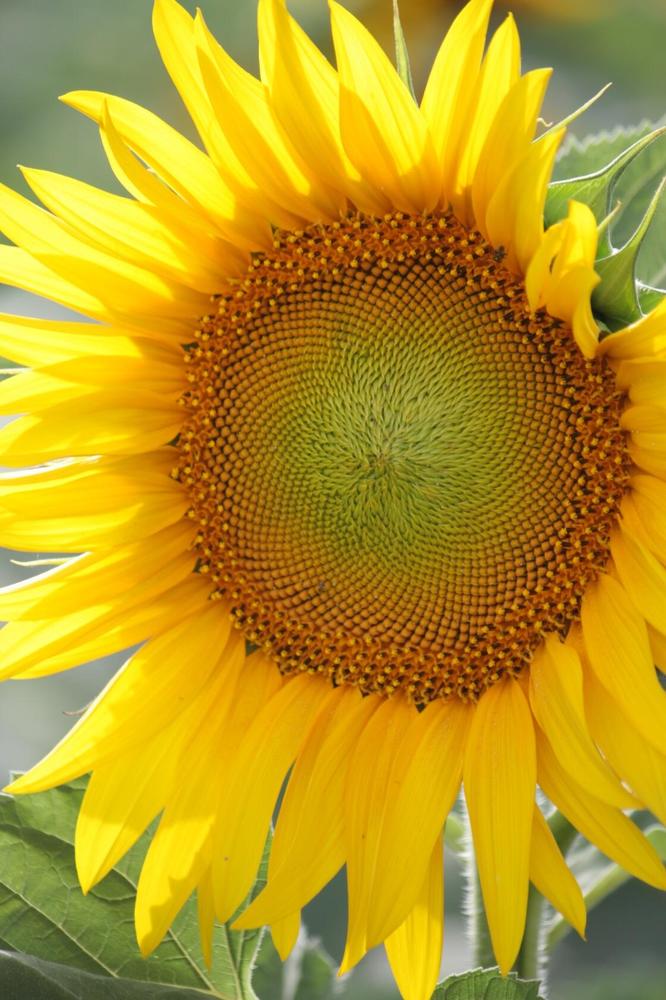 Photograph by Титова Наталья