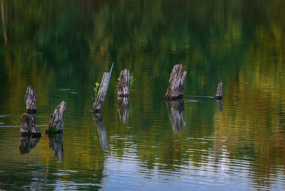 Photograph by Владислав Никишин