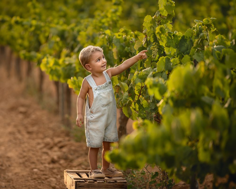 Photograph by Mònica Udina