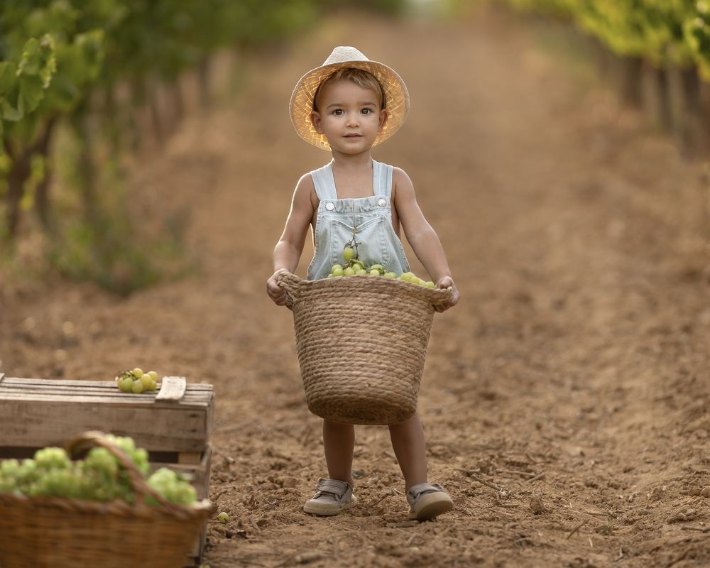 Photograph by Mònica Udina