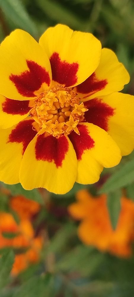 Photograph by Наталья