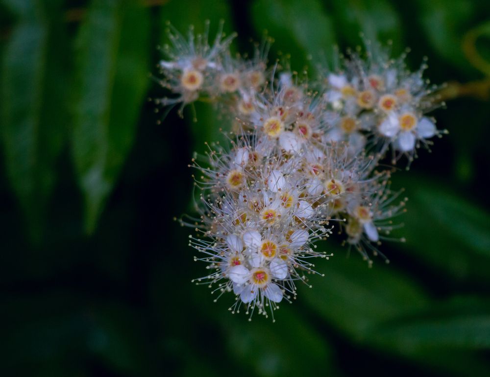 Photograph by Елена